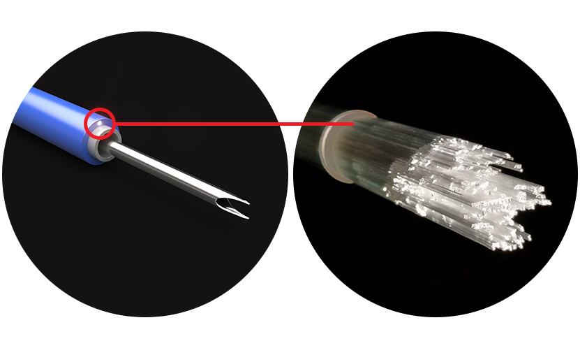 Prothea Vision fibres